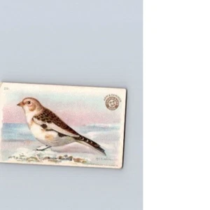 1918 Braccio e Martello Uccellini Utili America Seconda Serie Snow Bunting n.29 - Foto 1 di 2