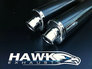 Latas de escape ovaladas de carbono Hawk - Suzuki TL 1000  - Imagen 1 de 1