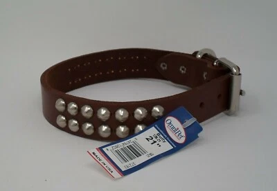 #126 COLLAR DE CUERO BULLY CON TACHUELAS 21 PULGADAS / PLACA DE IDENTIFICACIÓN DE LATÓN GRATIS Foto 1 de 3