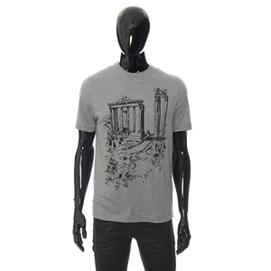 Camiseta BRIONI 630$ Gris Cuello Redondo - Jersey Algodón, Estampada - Imagen 1 de 10