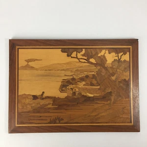 Italian MCM Inlaid Wood Art Coastal Italy Marquetry Walnut Rosewood Handcrafted - Picture 1 of 5