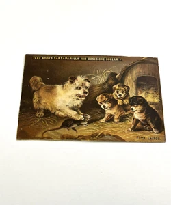 Tarjeta comercial Spring Valley MN capucha zarzaparrilla perros rata cachorros publicidad - Imagen 1 de 4