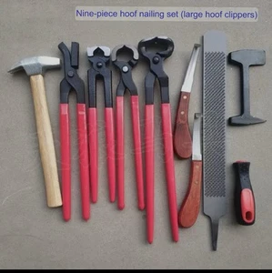 Horse hoof repair tools 9 in 1 - Picture 1 of 6