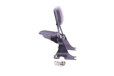 2020 09-22 HARLEY DAVIDSON 883 SPORTSTER OEM REAR SISSY BAR LUGGAGE RACK U14 - Image 1 of 4