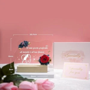 Sunia Luce Notturna in Acrilico con Rosa Eterna, Rosa Eterna Stabilizzata - Foto 1 di 7