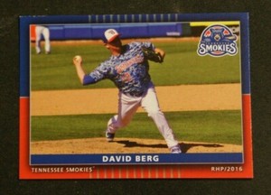 2016 Grandstand, Tennessee Smokies - DAVID BERG