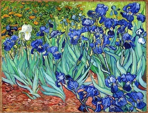 Irises Painting by Vincent van Gogh Reproduction - Picture 1 of 3