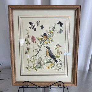 Marjorie Blamey Print Plate Birds Butterflies Flora 44x36cm Framed Ltd Edition 1 - Picture 1 of 7