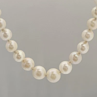 "COLLAR DE PERLAS Akoya Oro Blanco 10k De Colección Hilo Graduado Marfil Brillo AAA 17""" Foto 1 de 4