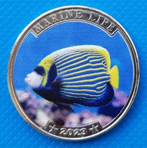 Narcondam Island 25 Rupien 2023 UNC Angelfish Marine Life coloriert - Bild 1 von 2