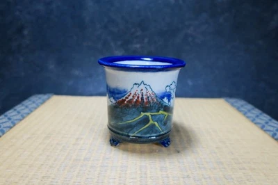 Bonsai japonés genuino "Tosui" Foto 1 de 4