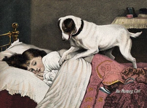 SMOOTH FOX JACK RUSSELL TERRIER WAKES LITTLE GIRL IN BED DOG GREETINGS NOTE CARD - Picture 1 of 1