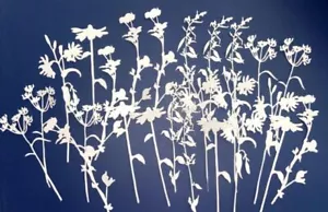 25 piezas. WILDFLOWERS #3 papel cartucho troquelado adornos álbum de recortes - Imagen 1 de 33