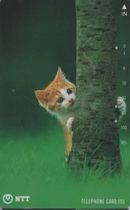 Télécarte JAPON - ANIMAL - CHAT Chaton - CAT  Kitten JAPAN phonecard - Foto 1 di 1