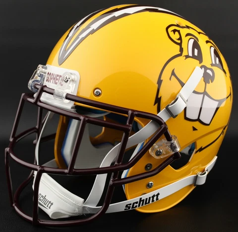 *CUSTOM* MINNESOTA GOLDEN GOPHERS NCAA Schutt XP GAMEDAY Replica Football Helmet Cover
