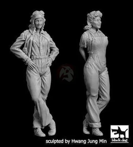 Juego mecánico de aeronaves piloto y hembra Black Dog 1/32 EE. UU. (2 figuras) F32115 - Imagen 1 de 1