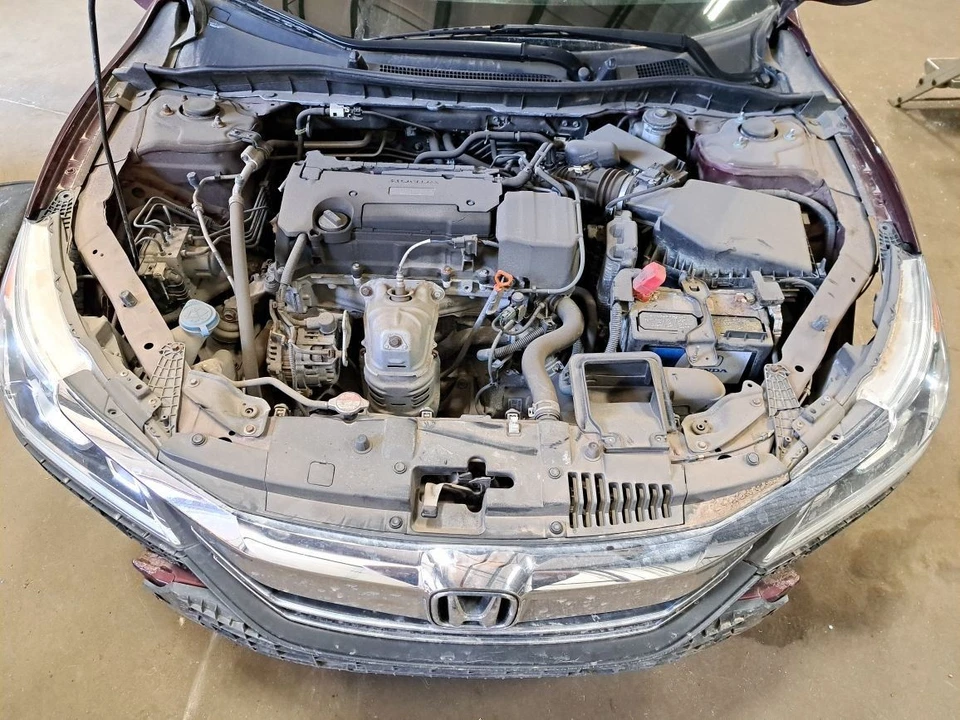 Rear Strut 2016 Accord Sku#4127422 - Image 1 of 4