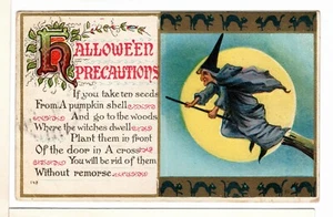 1912 Hallowe'en Precauzioni Cartolina Strega Gatto Nero Border Luna Piena-BR1 - Foto 1 di 2