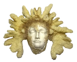 Coral Reef Woman Face Plaster Sculpture Sea Island Memories by TMS Inc 15.75" - Picture 1 of 11