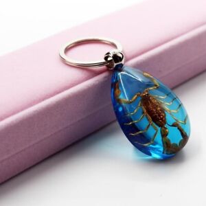 Amber Scorpion Fossil Insects Manual Polishing Lucky Ornaments key chain small