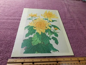 Autumn Flower Art Print From Magazine Vintage 1960 A23 - Picture 1 of 2