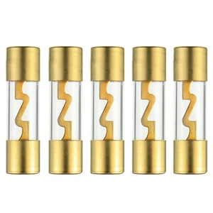 60A Gold Plated Glass Car Audio AGU Fuse for Car/Auto/Marine Audio Stereo Amplif - Picture 1 of 5