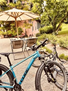 CUBE access WS Pro Allroad - Bild 1 von 12