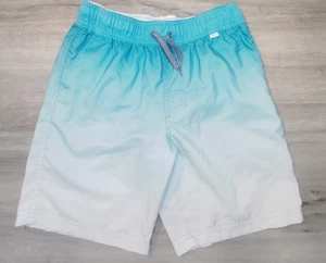Cat and Jack brand shorts, size L, blue with white for boys B18-C1541 - Picture 1 of 3