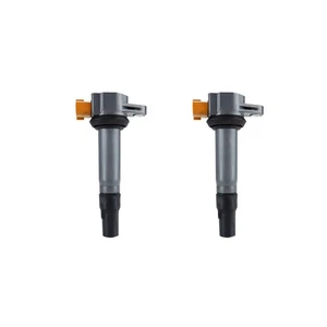 2 Pack Stick Coil for Sea-Doo 230 300 GTI GTX / Spark 900 2014-2023 | 420666142 - Picture 1 of 9