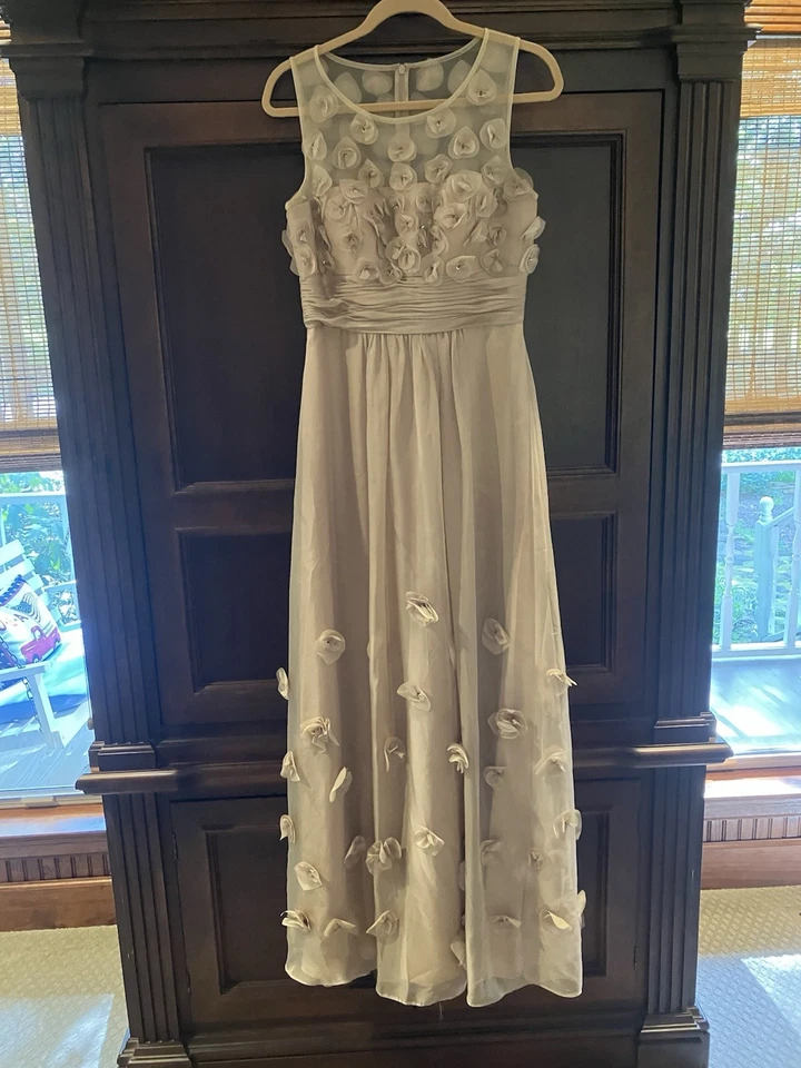 JS Collections Sz 8 Floral Applique Chiffon Gown in Champagne Sheer Accents EUC - Image 1 of 4