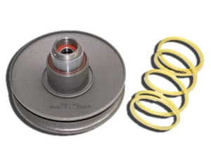Top Performance Kit Correttore di coppia Malaguti F12 Phantom 50 LC 1994-2000 - Imagen 1 de 1