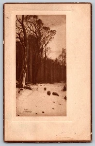 1910 Cartolina P. Shurin - Scena della foresta invernale con animali, Lewistown PA - Foto 1 di 2