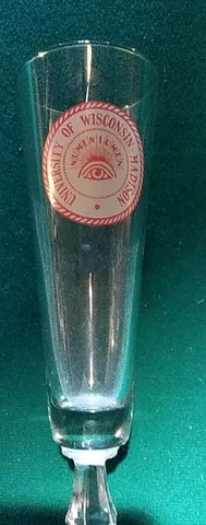 Vintage University Of Wisconsin Pilsner Type Beer Glass Numen Lumen Logo Cover