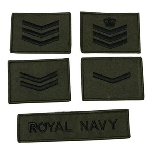EJÉRCITO BRITÁNICO, PARA, SAS, RAF, PARCHES/INSIGNIA - Imagen 1 de 10