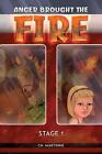 Anger Brought the Fire: Stage 1 by Ch. Martinne Paperback Book