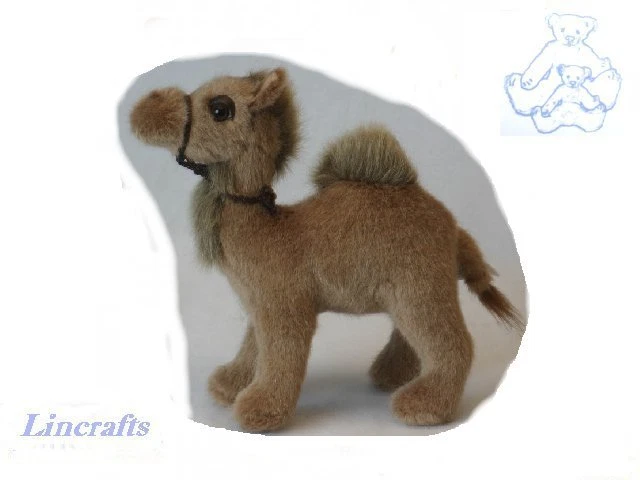 Hansa Baby Camel 4536 Plush Soft Toy Sold by Lincrafts UK Est.1993 - Image 1 of 1