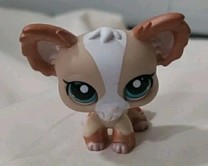 Littlest Pet Shop LPS #1082 Brown White Shimmer Chihuahua Journal Dog, Blue Eyes - Picture 1 of 11