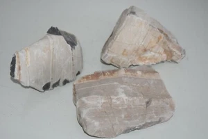 Acquario Naturale Grigio Melaleuca Linea Sottile Rocce x 3 Vasche Marine Acqua Dolce GME - Foto 1 di 4
