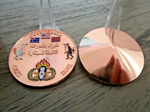 CEXC Counter IED EOD Task Force Combine Explosive Cell Spy vs Spy Challenge Coin - Bild 1 von 11