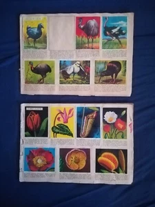 Album cromos la naturaleza y el hombre maga incompleto - Imagen 1 de 21