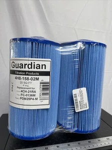 Guardian Pool Filter 4H8-158-02M-2 Pack, Replaces PDM25P4, 4CH-21, FC-0136 8" L - Picture 1 of 2
