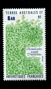 FRENCH SOUTHERN & ANTARCTIC TERRITORIES # 157 MNH PLANT TOPICAL - Picture 1 of 1