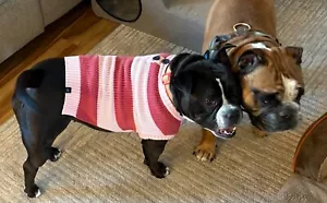 Gap Original Logo Dog Pullover Striped Sweater Chest 22-26 inches FREE SHIPPING - Picture 1 of 6