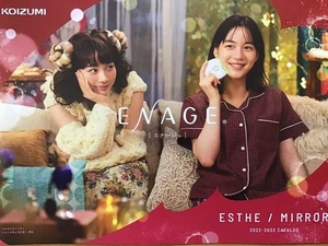 Folleto NRen Nounen Koizumi 8,3x5,9 pulgadas nuevo no venta 55z - Imagen 1 de 2