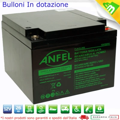 Batteria Professionale al Piombo AGM ANFEL UL26-12 12V 26Ah Ricaricabile