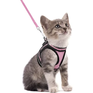 Cat Harness and Leash Set for Walking Escape Proof, Adjustable Soft Kittens Vest - Picture 1 of 13