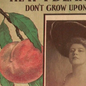 Scarce Vintage Pre WWI Era 1909 Sheet Music "The Kind of Peaches.." - Picture 1 of 3