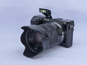 Sony Alpha NEX-7 / 24.3MP / w/E 18-55mm / Shutter Count: 2370 - Picture 1 of 24