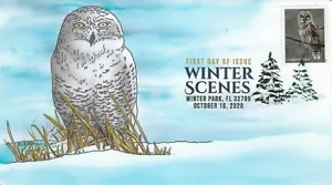 Peterman Hand Painted Snowy Owl, 2020 Winter Scenes, Owl, Sc.#5536 First Day - Picture 1 of 1