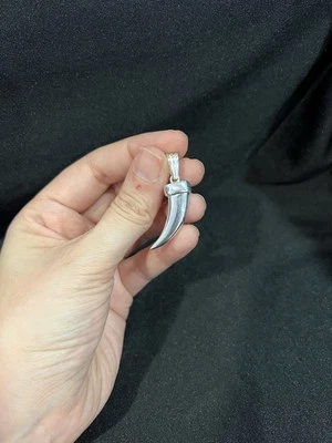 Medalla colgante cuerno de la suerte colmillo colmillo colmillo de plata de ley 925 para hombre y mujer Foto 1 de 4